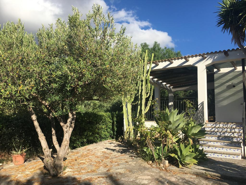 Villa Nadia Con Splendida Vista Mare Castellammare del Golfo Zewnętrze zdjęcie